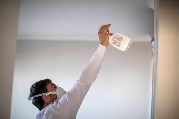 Best Black Mold Removal  in Walnut Park, CA