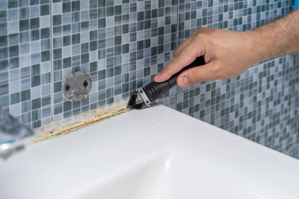 Best Mold Cleaning Services  in Walnut Park, CA