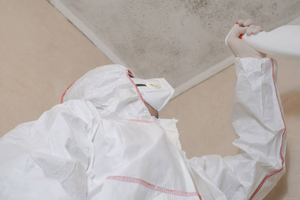 Best Mold Testing  in Walnut Park, CA